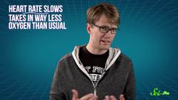 Estivation: How Mucus Saved My Life Instructional Video