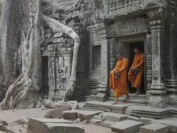 WS Buddhist monks walk out of an ancient jungle temple past a large tree carrying alms bowls to collect offerings in Angkor Wat / Siem Reap, Cambodia Stock Footage