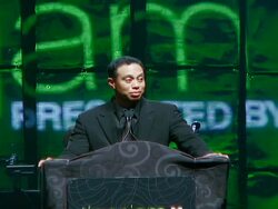 Tiger Jam X, Presented by AT&T Stock Footage