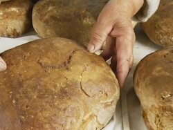 HD DOLLY: Fresh Baked Peasant Bread Stock Footage