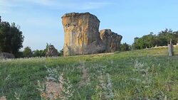 low angle panning: flower garden in Mo Hin Khao Chaiyaphum Stone Henge of Thailand Stock Footage