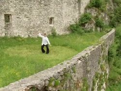 CRANE: Practicing Tai Chi Chuan Stock Footage