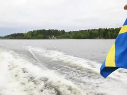 Swedish Flag Stock Footage