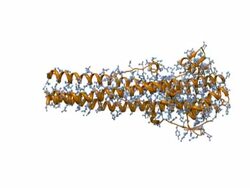 Model of Influenza Virus Hemagglutinin - NTSC Stock Footage