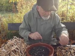 Organic Farmer Stock Footage