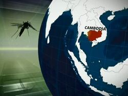 Millions at Risk as Malaria Drug Loses Potency News Clip