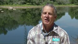 California rafting companies all over the state have shut down early this summer due to lack of whitewater. But as AP's Haven Daley reports, a few operations along rivers with dam releases are still running. (Aug. 15) News Clip