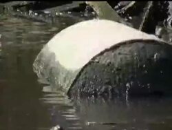 Texas is using cranes to launch a war against abandoned vessels clogging waterways. Legislation now makes it illegal to scuttle a boat. The state can track down owners, issue warnings and remove the vessels. News Clip