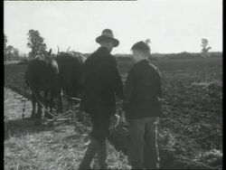 Farm boy summons farmer to help with plough, England, UK 1940 Stock Footage