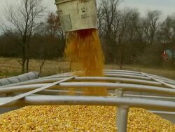 CU ZO SLO MO Truck almost filled as spout filling truck with corn in field / Chelsea, Michigan Stock Footage