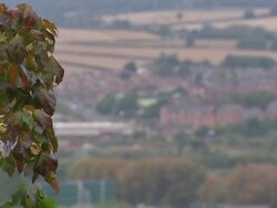 View of Rotherham Housing News Clip