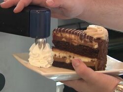 ATMOSPHERE: Reese's Peanut Butter Chocolate Cake Cheesecake at the American Idols Celebrate National Cheesecake Day at The Cheesecake Factory at Virginia Beach VA. (Footage by WireImage Video/GettyImages) Stock Footage