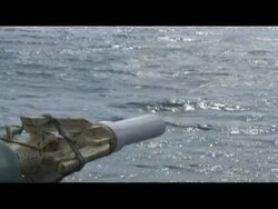 JAPAN STICKS TO ITS WHALING GUNS News Clip