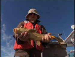 AP investigation - water supplies contaminated with drugs News Clip