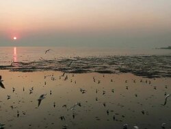 Bangpoo Thailad Stock Footage