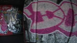 Bright graffiti covers walls. Stock Footage