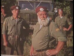 Russia - Save the tiger News Clip