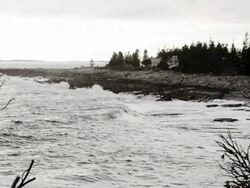 Maine Coastline Stock Footage