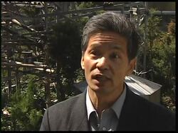 Japanese researchers claim chimps have stronger memories than humans News Clip