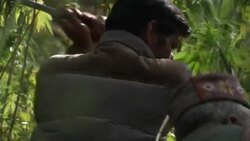 Profile of India's hashish oasis News Clip