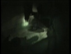 US troops stage massive operation against suspected militia leaders News Clip