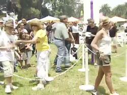 'A Time For Heroes' Celebrity Picnic and Carnival to Benefit the Elizabeth Glaser Pediatric AIDS Foundation Stock Footage