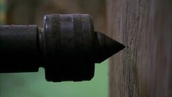 A drill penetrates the cut end of a log. Stock Footage