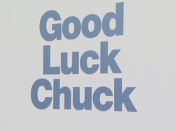 'Good Luck Chuck' Los Angeles Premiere Stock Footage