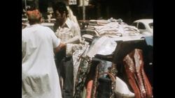 News Item (38e72308-d3ce-50c8-2a89-09e609ac75d0) Instructional Video