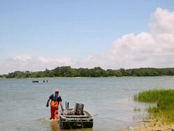 WS Waterman Dragging Small Boat Out to Inlet / Oyster, Virginia, USA Stock Footage
