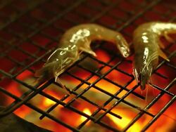 Grilled shrimp Stock Footage