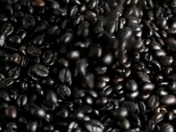 Coffee Bean Stock Footage