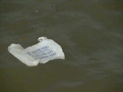 A garbage back that says Thank you floats in the Hudson River Stock Footage