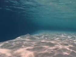 Track forward over sloping sandy seabed dappled with sunlight, Vaavu Atoll, The Maldives Stock Footage