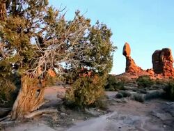 WS ZI TU Scenery of natural sandstone formation of  balanced rock / ARIZONA, United States  Stock Footage