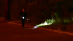 K9 police officer searching bushes with dog at night Stock Footage