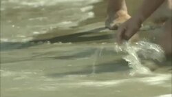 Children scoop a dead crab with a toy shovel along a New Jersey shore. Stock Footage