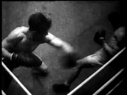 Boxer Hits Out At Referee In Sydney News Clip