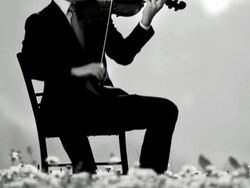HD: Playing The Violin Outdoors Stock Footage
