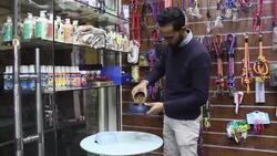 Cafe for dogs and their owners Instructional Video