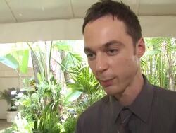 INTERVIEW: Jim Parsons on what he thinks of the HFPA's support (Footage by WireImage Video/GettyImages) Stock Footage