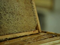 Frames with open cells to proceed to the step of filtering Stock Footage