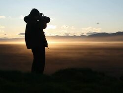 Nature photographer in action Stock Footage