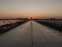 WS Submersible road between french continent and Island of noirmoutier at sunset and car coming from background / Noirmoutier, Vendee, France Stock Footage