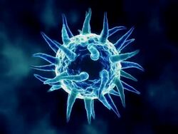 Isolated Virus Background Blue Stock Footage