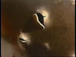 COLOMBIA: MASS FUNERAL HELD FOR BOMB BLAST VICTIMS Instructional Video