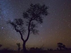 Time Lapse Kalahari Desert  Botswana  Africa Stock Footage