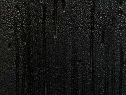 Rain drops Stock Footage