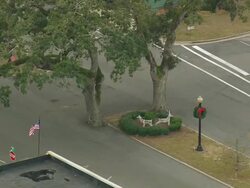 WS AERIAL View of Flag waving in front of tree / Georgia, United States Stock Footage