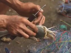 Fishermen at work, pulling the nets Stock Footage